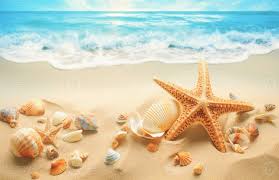 Muscheln und Seestern auf das schön tropisch Strand und Meer mit Blau  Himmel Hintergrund. Sommer- Ferien Konzept 23487984 Stock-Photo bei Vecteezy